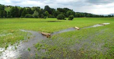 Rottaler Wässermatten
